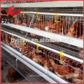 Battery Cages for Layers for Farms in Ghana